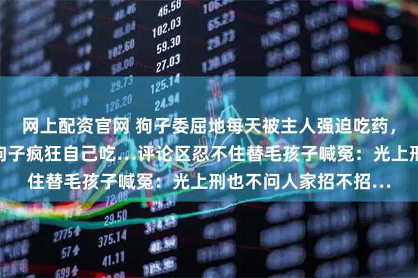 网上配资官网 狗子委屈地每天被主人强迫吃药，某天主人手速慢了，狗子疯狂自己吃…评论区忍不住替毛孩子喊冤：光上刑也不问人家招不招…